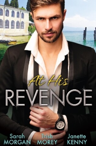 Cover of At His Revenge - 3 Book Box Set