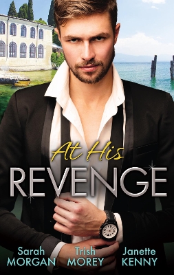 Book cover for At His Revenge - 3 Book Box Set
