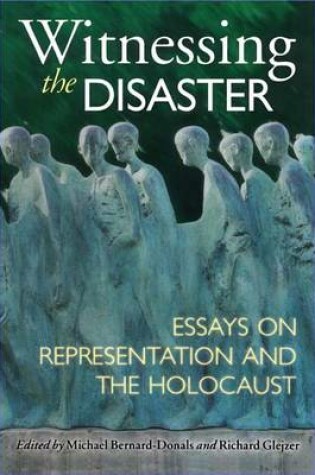 Cover of Witnessing the Disaster