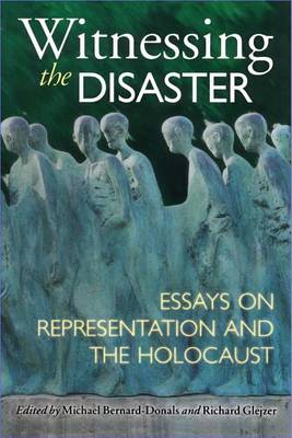 Book cover for Witnessing the Disaster