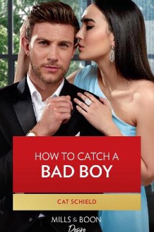 Cover of How To Catch A Bad Boy