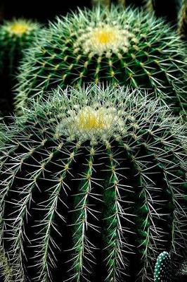 Book cover for Two Cactus Plants Up Close Cacti Succulents Journal