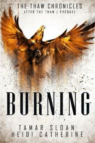 Cover of Burning