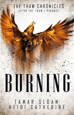 Book cover for Burning
