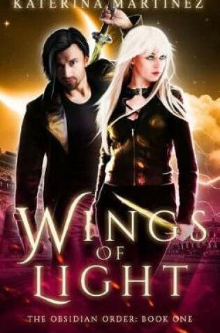 Cover of Wings of Light