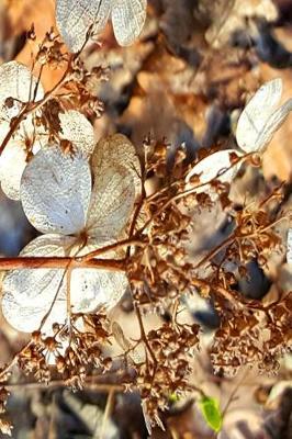 Book cover for Dry Hydrangea Flowers 2019 Daily Planner 384 Pages