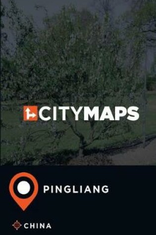 Cover of City Maps Pingliang China