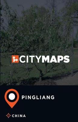 Book cover for City Maps Pingliang China