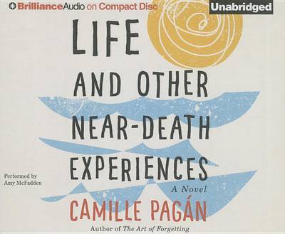 Book cover for Life and Other Near-Death Experiences