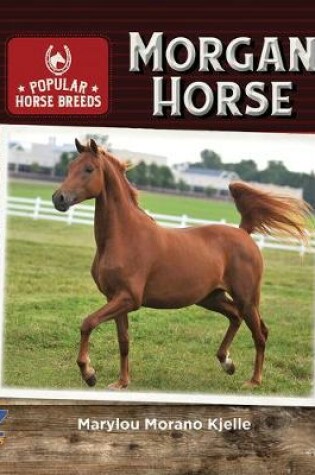 Cover of Morgan Horse