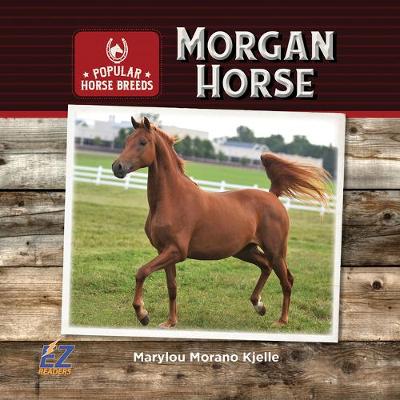 Book cover for Morgan Horse