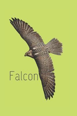 Book cover for Falcon