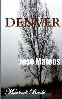 Book cover for Denver