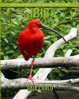 Book cover for Ibis