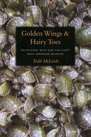 Cover of Golden Wings & Hairy Toes