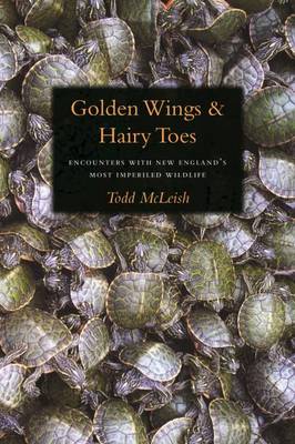 Book cover for Golden Wings & Hairy Toes