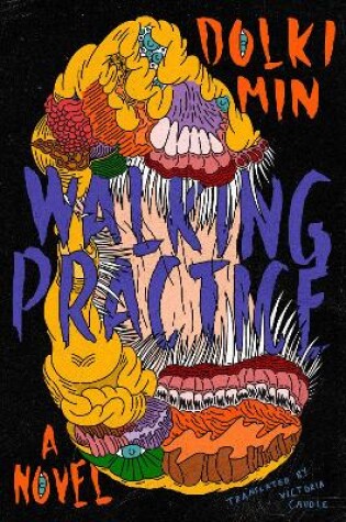 Cover of Walking Practice