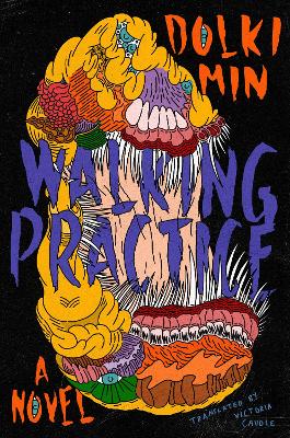 Book cover for Walking Practice