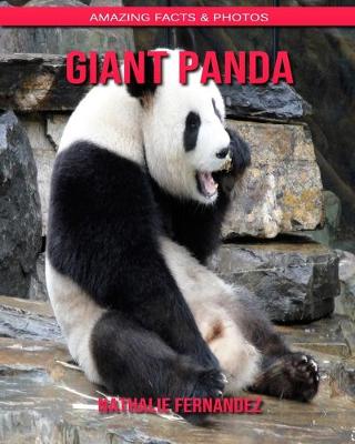 Book cover for Giant Panda