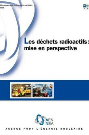 Cover of Developpement de L'Energie Nucleaire Les Dechets Radioactifs