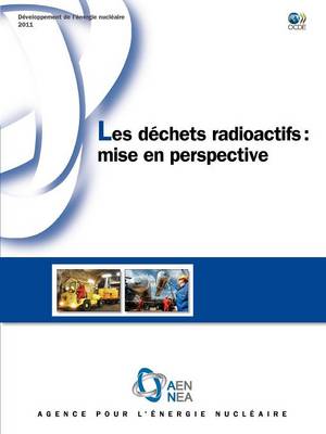 Book cover for Developpement de L'Energie Nucleaire Les Dechets Radioactifs