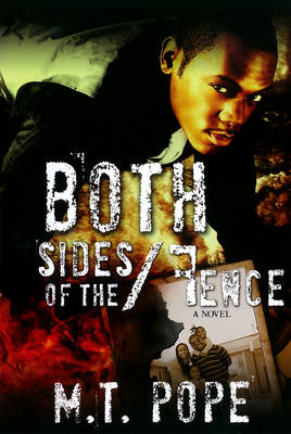 Book cover for Both Sides Of The Fence