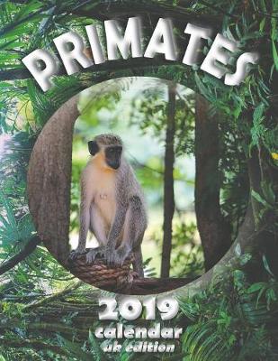 Book cover for Primates 2019 Calendar (UK Edition)