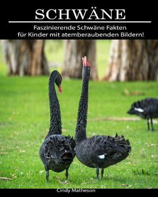 Book cover for Schwäne