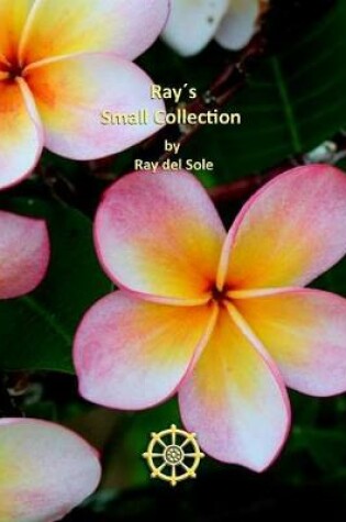 Cover of Ray's Small Collection