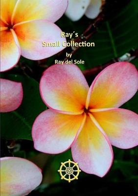 Book cover for Ray's Small Collection