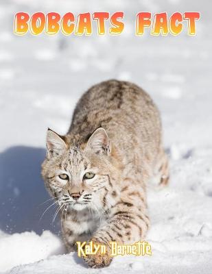 Book cover for Bobcats Fact