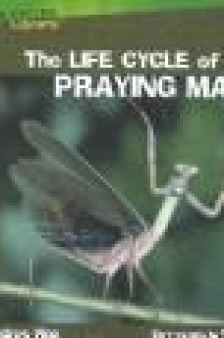 Cover of The Life Cycle of a Praying Mantis