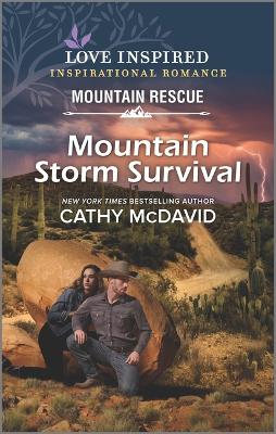 Book cover for Mountain Storm Survival