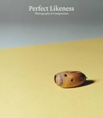 Book cover for Perfect Likeness