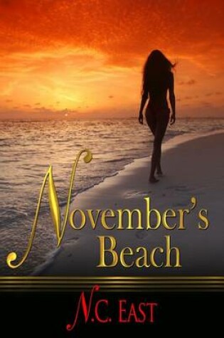 Cover of November's Beach