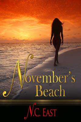 Book cover for November's Beach