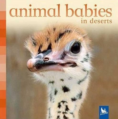 Book cover for Animal Babies in Deserts