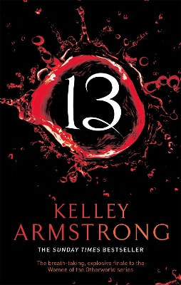 Book cover for 13