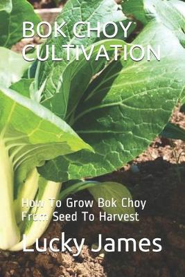 Book cover for BOK Choy Cultivation