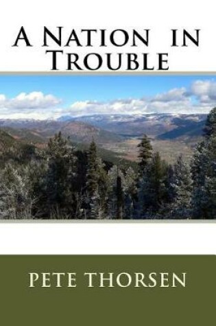 Cover of A Nation in Trouble