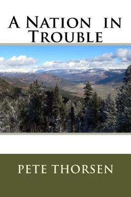 Book cover for A Nation in Trouble