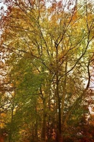 Cover of Beautiful Trees in Nacogdoches, Texas