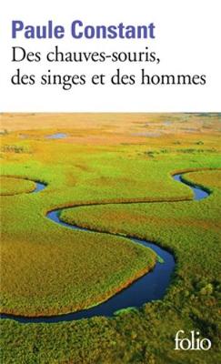 Book cover for Des chauves-souris, des singes et des hommes