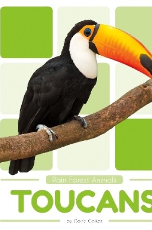 Cover of Rain Forest Animals: Toucans