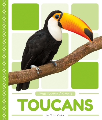 Book cover for Rain Forest Animals: Toucans