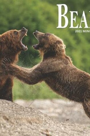 Cover of Bears