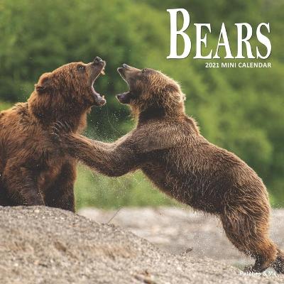 Book cover for Bears