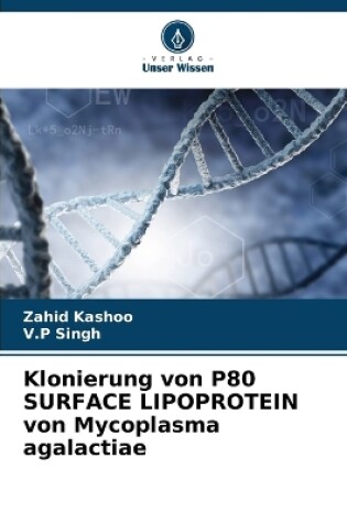 Cover of Klonierung von P80 SURFACE LIPOPROTEIN von Mycoplasma agalactiae