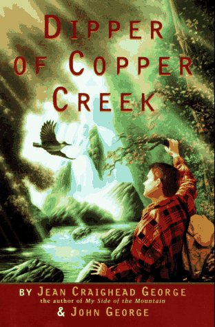 Book cover for Dipper of Copper Creek