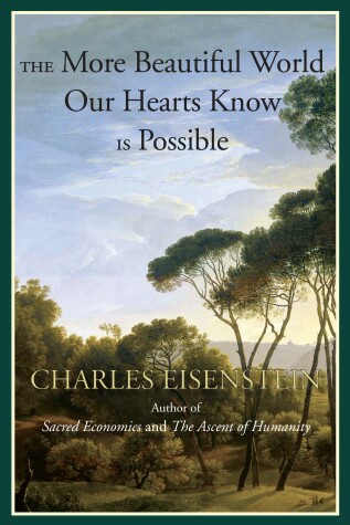 Book cover for The More Beautiful World Our Hearts Know Is Possible